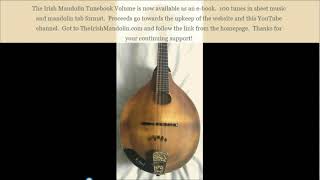 Another Jig Will Do - a slip jig in D Major tabbed for mandolin and played by Aidan Crossey