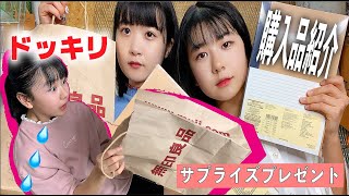 【ドッキリ】無印購入品紹介！ほのぼのが欲しかったあれをついにサプライズゲット！？【のえのん番組】