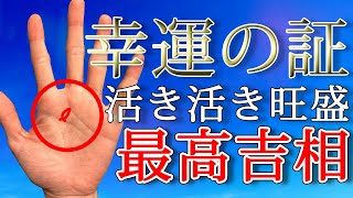 【最高クラス】一度は見たい！幸運を呼び込む幸せの手相【手相鑑定 #114】