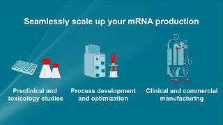 Seamlessly scale up your mRNA production