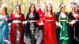 Kurdish folk (Medes) music: \