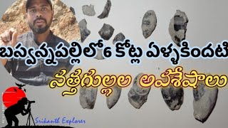 Fossils of snails 6 million years ago in Baswannapalli of Kamareddy district. Telangana.