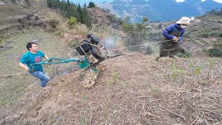 Ngày Tốt Đi Cày Khai Xuân, Cầu Mùa Màng Bội Thu No Bụng Nhiều Tiền