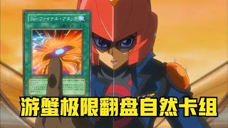 遊戲王5DS134：遊蟹極限翻盤自然卡組，大賽前夕烏鴉被暗算受傷！