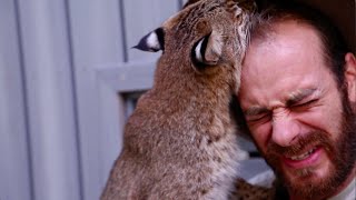 Baby Bobcat Experience! Kamp Kenan S3 Episode 17