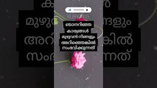 സമദാനി/ ഞാനറിഞ്ഞ കാര്യങ്ങൾ മുഴുവൻ നിങ്ങൾ അറിഞ്ഞിരുന്നെങ്കിൽ സംഭവിക്കുന്നത്