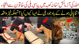 Haram sharif sa pyasi billi ki video na tahlka macha dia | Khana Kaba Thirsty cat asking for help