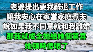 老婆提出要我辭退工作，讓我安心在家當家庭煮夫，說如果我不同意就和我離婚，那我就成全她給她個驚喜，她頓時傻眼了【故事簍子】#爽文#激情故事#溫暖的心#內涵老師#情感故事#男女#故事#小說