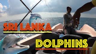 Sri Lanka Travel - 1000 Dolphins - Kalpitiya