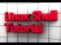 Shell Script - Find Lines with Set Number of Words on Them - Linux - BASH tutorial