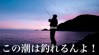 冬エギングは潮を釣る！Batuta80Sを使うと釣れる潮がわかるようになるというお話　山田タカト　TRANSCENDENCE  冬イカ