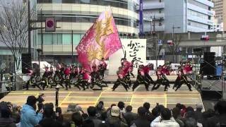 「関東学院大学 “誇咲”」　浜よさ　がんこ祭2015　２日目