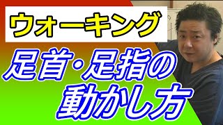 【絶大効果】ウォーキングで大事な足首・足の指の動かし方。これで重心が大きく変わる！もも裏歩きウォーキング協会 第77回