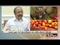 ரேஷனில் தக்காளியின் விலை எவ்வளவு tomato ptt