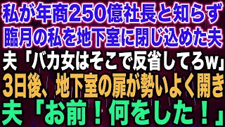 【スカッとする話】私が年商250億社長と知らず臨月の私を地下室に閉じ込めた夫夫「バカ女はそこで反省してろw」3日後、地下室の扉が勢いよく開き夫「お前！何をした！」【修羅場】