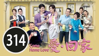 忐忑  | 愛回家 #314 | 馬柔、梁彥芬、裘亞域  | 粵語中字 | TVB 2012