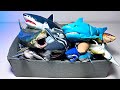 Sharks Collection - Salmon Shark, Megamouth, Great White, Thresher, Lemon Shark, Gray Reef Shark