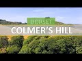 Colmers Hill  - Dorset 2022 - 4K Drone