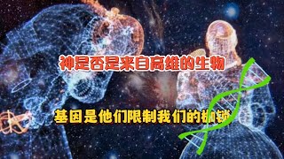 神是否是高维空间的生物？基因却是他们限制我们的枷锁