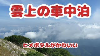 雲上の車中泊　ヒメボタルシーズン　伊吹山夏季限定