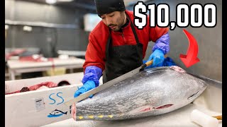 Up-Close Mastery: Nobu Butchers a Massive 200lb  Bluefin Tuna