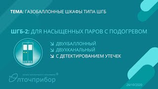 Шкаф газобаллонный ШГБ-2: для насыщенных паров с подогревом, двухканальный, с детектированием утечек