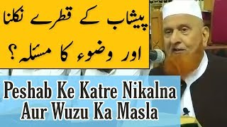 Peshab Ke Katre Nikalna Aur Wuzu Ka Masla | Maulana Makki Al Hijazi | Islamic Group