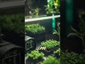 [4K] #shorts Revelations of the Hidden Sanctuary: Restoring Earth's Future #by #byte #tube #facts