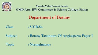 Sybsc Botany Taxonomy Of Angiosperm Paper I  Nyctaginaceae