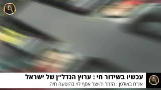 אסף לוי - סיון