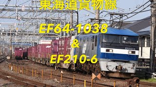 2019/04/21 東海道貨物線 3075レ EF64-1038 \u0026 5062レ EF210-6