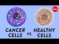How do cancer cells behave differently from healthy ones? - George Zaidan