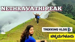 Netravathi Peak Trek | River Netravati Birth Place | Places to Visit in Chikmagalur | Kudremuk Trek