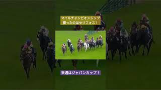 マイルチャンピオンシップ！勝ったのは3歳馬セリフォス！#マイルチャンピオンシップ #競馬 #セリフォス #ソダシ #ジャパンカップ