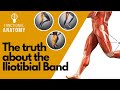 Anatomy of the Iliotibial Band - The truth!