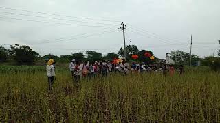 Shree biralingeshwar jatra Dhuttaragaon, Aland, kalaburagi