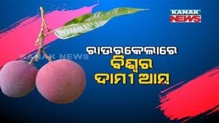 Special Report: World's Most Expensive Mango In Rourkela