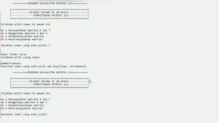 Program Kalkulator Matriks 2x2 C++