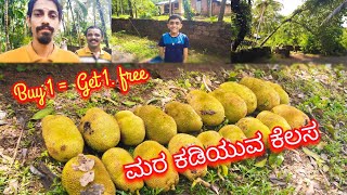 ಮರ ಕಡಿಯಲು ಬಂದ ಜನ 🥝🍋 | Prasad Karmar Vlogs