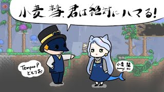 ととこむ定期テラリア