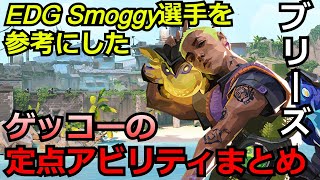 EDG Smoggyを参考にしたゲッコーの定点アビリティまとめ2023【ゲッコー】【ブリーズ】【Valorant】