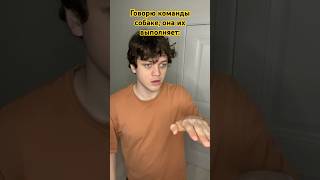 Объясню шутку в тг, поймут только гении😂 тг: Даня Гуськов ❤️