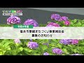 いきいき情報ふくい「福井市を魅力ある景観に！」（2022年7月1日更新）