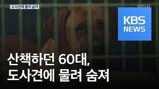 산책하던 60대, 도사견에 물려 숨져…농가 창고서 불 / KBS뉴스(News)