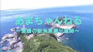 日本有数の好漁場？で幻の赤ウニを漁獲～新米漁師、初めての動画投稿～