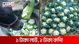 ১ টাকার লাউ ঢাকায় ৫০ টাকা! | DBC News Special