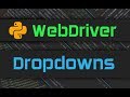 Advanced Webdriver - Dropdowns