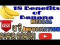 କଦଳୀର ଉପକାରିତା,18 benefits of banana in odia,herbal infomation - 6,varkha