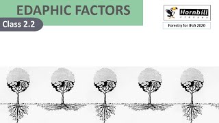 3. IFoS-2020 | Silviculture - Edaphic factors