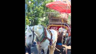 北大農場と馬車と狸祭。(150726)【ISHILOG】